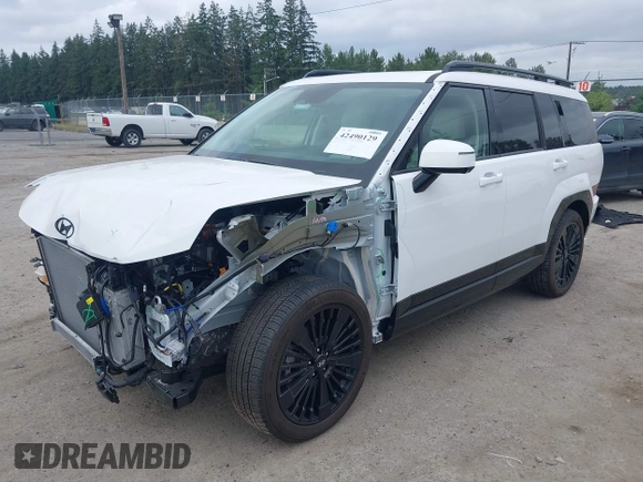 2025 Hyundai Santa Fe Calligraphy with VIN 5NMP5DG12SH017276, listed as a IAAI auction lot 42490129 with 2,089 mi miles and . Bid and sale history available at DreamBid. Image 18.