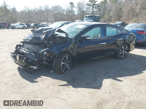2023 Nissan Maxima SV with VIN 1N4AA6CV9PC514214, listed as a IAAI auction lot 41751672 with Not provided miles and . Bid and sale history available at DreamBid. Image 2.
