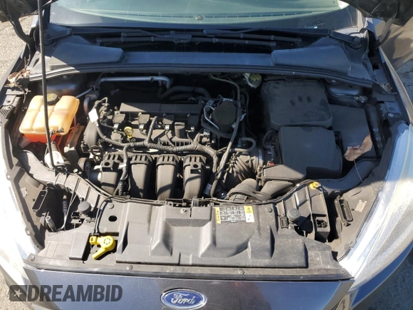 2016 Ford Focus S with VIN 1FADP3E23GL209109, listed as a Copart auction lot 49724885 with 74,161 mi miles and Salvage Title. Bid and sale history available at carsss.com. Image 12.