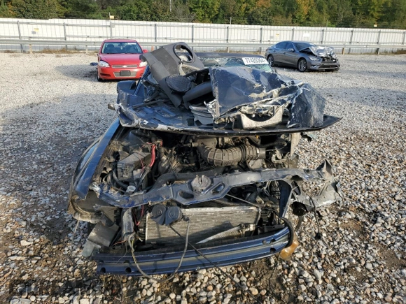 2008 Ford Mustang GT Deluxe with VIN 1ZVHT85H585148521, listed as a Copart auction lot 43408265 with Not Provided miles and Salvage Title. Bid and sale history available at DreamBid. Image 5.