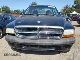 2004 Dodge Dakota with VIN 1D7GG16K14S588841, listed as a Copart auction lot 68306394 with Not Provided miles and Salvage Title. Bid and sale history available at DreamBid. Image 5.