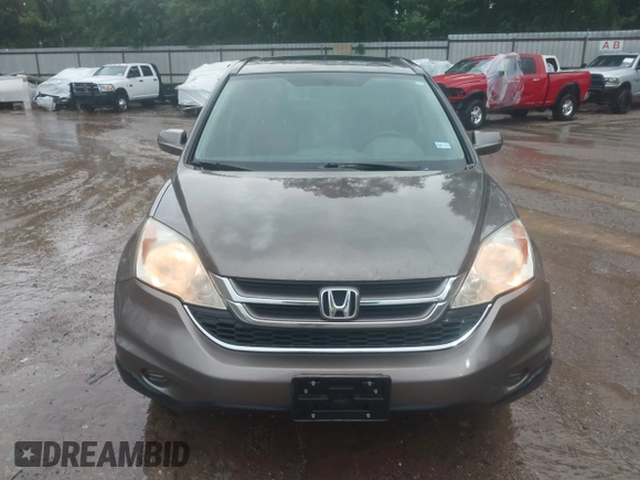 2010 Honda CR-V EX-L with VIN 5J6RE3H79AL041958, listed as a IAAI auction lot 42203039 with 160,336 mi miles and . Bid and sale history available at carsss.com. Image 12.