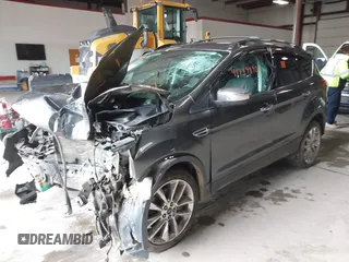 2016 Ford Escape SE with VIN 1FMCU9G93GUA33373, listed as a IAAI auction lot 41739890 with Not Provided miles and . Bid and sale history available at DreamBid. Image 17.