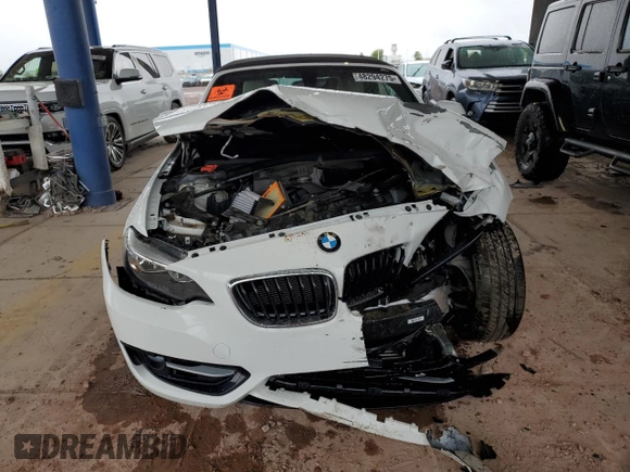 2016 BMW 2 Series 228i with VIN WBA1K9C54GV710166, listed as a Copart auction lot 48294275 with 0 mi miles and Salvage Title. Bid and sale history available at carsss.com. Image 5.
