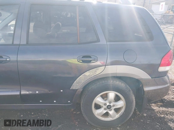2005 Hyundai Santa Fe GLS with VIN KM8SC73D55U965052, listed as a IAAI auction lot 42124944 with 117,178 mi miles. Bid and sale history available at carsss.com. Image 6.