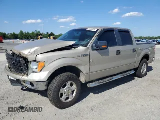 2010 Ford F-150 XL with VIN 1FTFW1EV7AFB20105, listed as a Copart auction lot 57966625 with 306,781 mi miles and Salvage title. Bid and sale history available at DreamBid. Image 1.