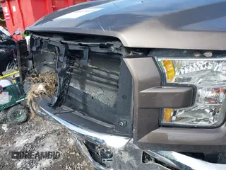 2016 Ford F-150 XLT with VIN 1FTEX1E81GFD36012, listed as a IAAI auction lot 41607537 with 106,089 mi miles and . Bid and sale history available at DreamBid. Image 6.