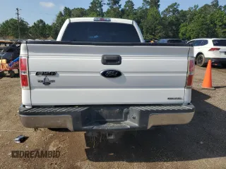 2013 Ford F-150 XL with VIN 1FTFW1CF3DFA68682, listed as a Copart auction lot 61295665 with 139,134 mi miles and Salvage title. Bid and sale history available at DreamBid. Image 6.