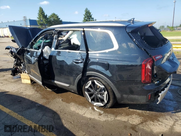 2024 Kia Telluride S with VIN 5XYP64GC0RG490175, listed as a Copart auction lot 62625874 with Not Provided miles and Salvage Title. Bid and sale history available at carsss.com. Image 2.