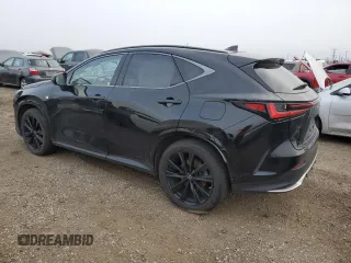 2022 Lexus NX with VIN JTJKKCFZ4N2004779, listed as a Copart auction lot 85951914 with 0 mi miles and Salvage Title. Bid and sale history available at carsss.com. Image 2.