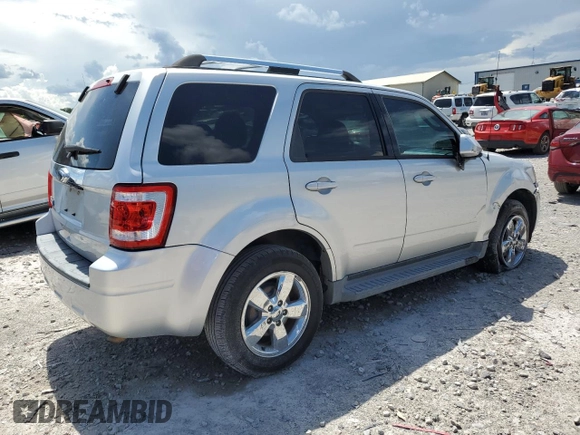 2010 Ford Escape Limited with VIN 1FMCU0E77AKC58458, listed as a Copart auction lot 64207645 with 160,650 mi miles and Salvage title. Bid and sale history available at DreamBid. Image 3.
