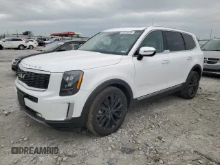 2022 Kia Telluride SX with VIN 5XYP5DHC4NG246878, listed as a Copart auction lot 53705855 with 58,265 mi miles and Salvage title. Bid and sale history available at DreamBid. Image 1.