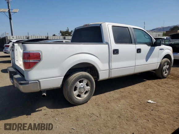 2010 Ford F-150 XL with VIN 1FTEW1C82AFA63417, listed as a Copart auction lot 62702535 with 254,474 mi miles and Clean title. Bid and sale history available at DreamBid. Image 3.
