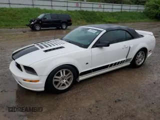 2006 Ford Mustang GT Deluxe with VIN 1ZVFT85HX65233357, listed as a Copart auction lot 57656445 with 125,086 mi miles and Clean title. Bid and sale history available at DreamBid. Image 1.