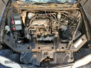 2002 Chevrolet Monte Carlo LS with VIN 2G1WW12E129172000, listed as a Copart auction lot 63665684 with 0 mi miles and Non Repairable. Bid and sale history available at carsss.com. Image 11.
