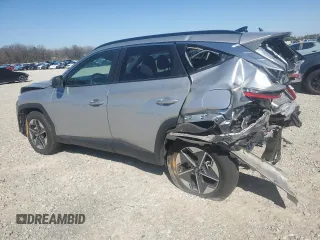 2025 Hyundai Tucson SEL Convenience with VIN 5NMJCCDE5SH495270, listed as a Copart auction lot 48699785 with 1,307 mi miles and Salvage Title. Bid and sale history available at carsss.com. Image 2.