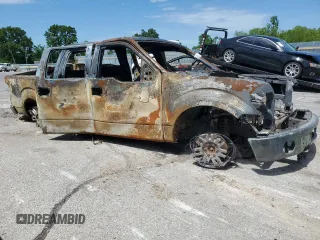 2009 Ford F-150 XL with VIN 1FTRW14869FB28507, listed as a Copart auction lot 57988205 with Not provided miles and Non repairable. Bid and sale history available at DreamBid. Image 4.