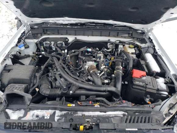 2024 Ford Bronco Outer Banks with VIN 1FMEE8BP1RLA50798, listed as a Copart auction lot 45704955 with 8,182 mi miles and Salvage title. Bid and sale history available at DreamBid. Image 13.