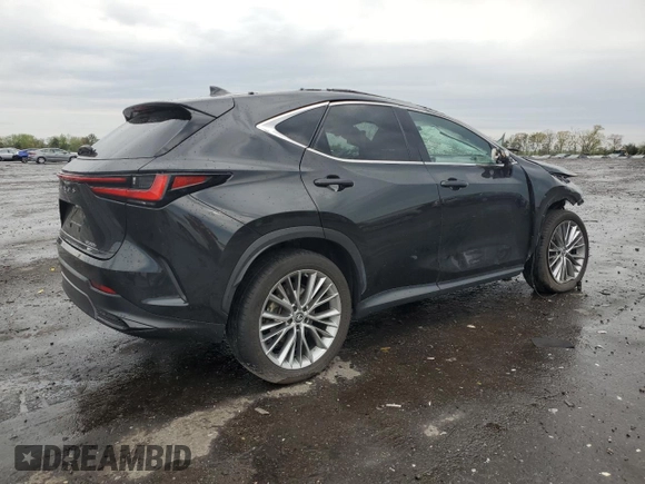 2022 Lexus NX 350h Premium with VIN 2T2GKCEZ8NC008566, listed as a Copart auction lot 53212805 with 44,537 mi miles and Salvage title. Bid and sale history available at DreamBid. Image 3.