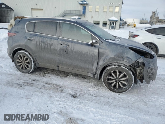2017 Kia Sportage EX with VIN KNDPN3AC7H7147042, listed as a Copart auction lot 43220985 with 79,424 mi miles and Salvage Title. Bid and sale history available at carsss.com. Image 4.