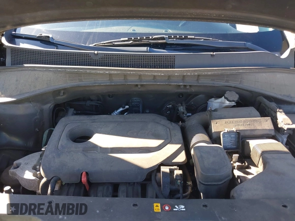 2019 Kia Sorento LX with VIN 5XYPGDA3XKG436510, listed as a IAAI auction lot 41010237 with 123,368 mi miles and . Bid and sale history available at carsss.com. Image 10.