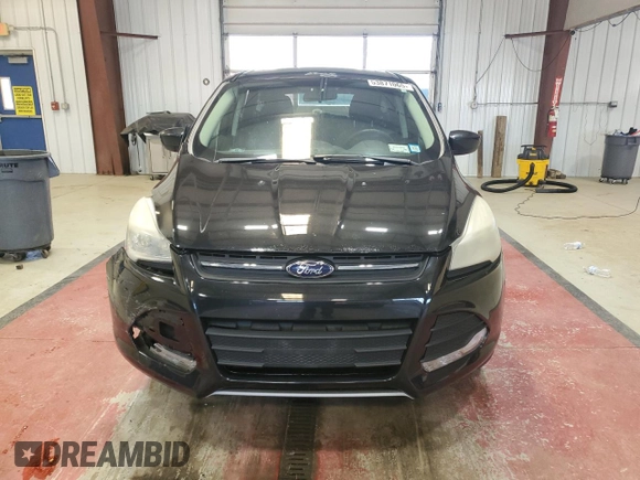 2014 Ford Escape SE with VIN 1FMCU9G99EUA06336, listed as a Copart auction lot 53871065 with 117,457 mi miles and Salvage title. Bid and sale history available at DreamBid. Image 5.