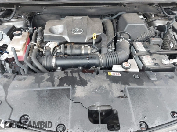 2021 Lexus NX with VIN JTJDARDZ4M2242647, listed as a IAAI auction lot 41693385 with 33,189 mi miles. Bid and sale history available at carsss.com. Image 10.