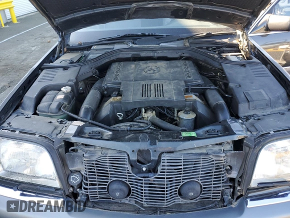 1995 Mercedes-Benz S with VIN WDBGA43E8SA250480, listed as a Copart auction lot 42456795 with Not Provided miles and Clean Title. Bid and sale history available at DreamBid. Image 11.
