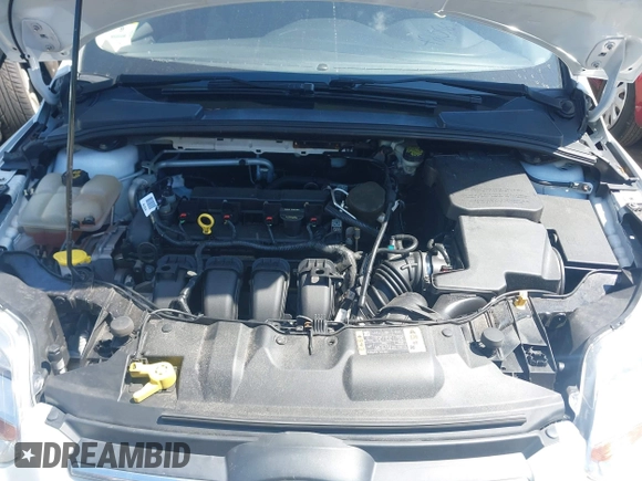 2014 Ford Focus SE with VIN 1FADP3K25EL296593, listed as a IAAI auction lot 42056203 with 116,766 mi miles. Bid and sale history available at carsss.com. Image 10.