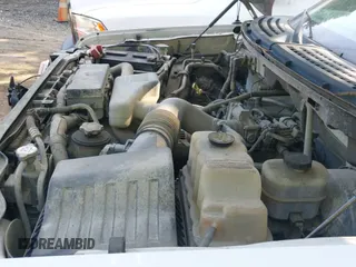 2009 Ford F-150 XL с VIN 1FTRF12W09KB15972, выставлен на аукционе IAAI как лот 42618849 с пробегом 146 000 миль миль и . История ставок и продаж доступна на DreamBid. Изображение 12.