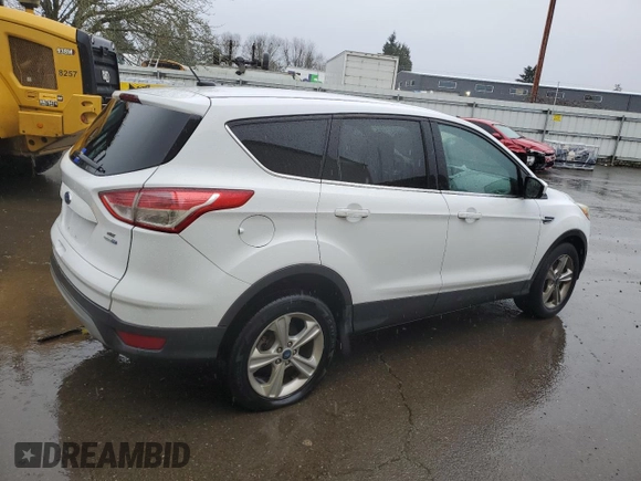 2014 Ford Escape SE with VIN 1FMCU9G96EUA46034, listed as a Copart auction lot 49678325 with 0 mi miles and Clean Title. Bid and sale history available at carsss.com. Image 3.