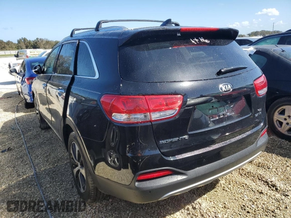 2018 Kia Sorento EX with VIN 5XYPH4A58JG374036, listed as a Copart auction lot 77337694 with 16,795 mi miles and Non Repairable. Bid and sale history available at DreamBid. Image 6.