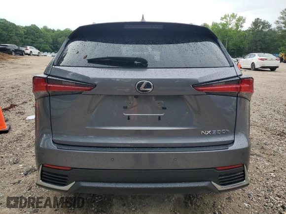 2021 Lexus NX 300h with VIN JTJDJRDZ2M2147276, listed as a Copart auction lot 56119315 with 39,132 mi miles and Salvage title. Bid and sale history available at DreamBid. Image 6.