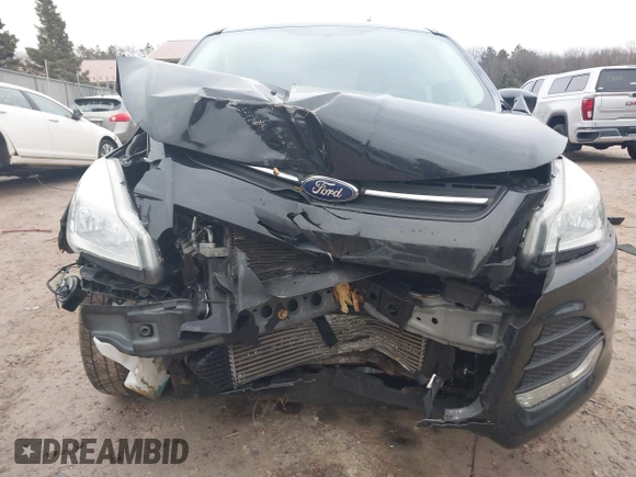 2013 Ford Escape SE with VIN 1FMCU0GX1DUD08065, listed as a IAAI auction lot 41721553 with 113,935 mi miles. Bid and sale history available at carsss.com. Image 13.