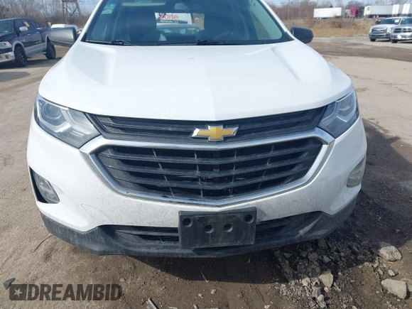 2019 Chevrolet Equinox LS with VIN 2GNAXHEVXK6251595, listed as a IAAI auction lot 41661657 with 120,348 mi miles and . Bid and sale history available at DreamBid. Image 12.