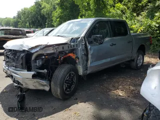2023 Ford F-150 Lightning Pro with VIN 1FTVW1EL3PWG61686, listed as a Copart auction lot 61353535 with 8,116 mi miles and Salvage title. Bid and sale history available at DreamBid. Image 1.