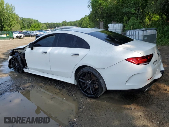 2019 Mercedes-Benz CLS 450 with VIN WDD2J5KB9KA028139, listed as a Copart auction lot 60033935 with 71,341 mi miles and Clean title. Bid and sale history available at DreamBid. Image 2.