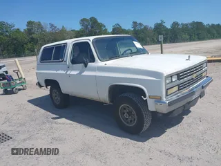 1990 Chevrolet Blazer z VIN 1GNEV18K0LF177515, wystawiony jako IAAI lot #42168956 z przebiegiem 295 707 mil mil oraz . Historia ofert i sprzedaży dostępna na DreamBid. Obrazek 1.