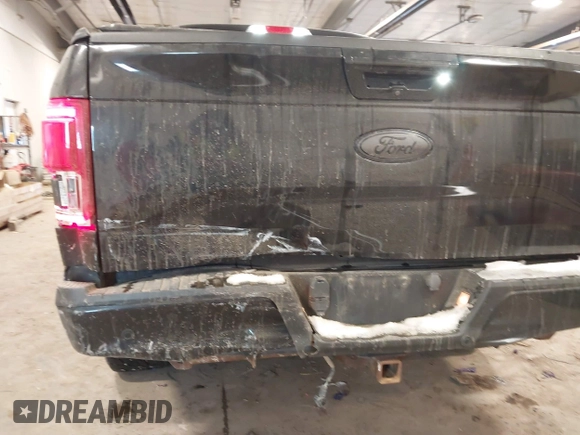 2015 Ford F-150 XLT with VIN 1FTEW1EG5FKE75348, listed as a IAAI auction lot 41599920 with 123,503 mi miles. Bid and sale history available at carsss.com. Image 17.