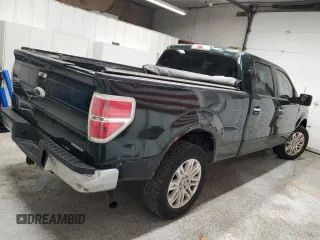 2012 Ford F-150 XL with VIN 1FTFW1EF6CFB89105, listed as a Copart auction lot 58137015 with 170,808 mi miles and Clean title. Bid and sale history available at DreamBid. Image 3.