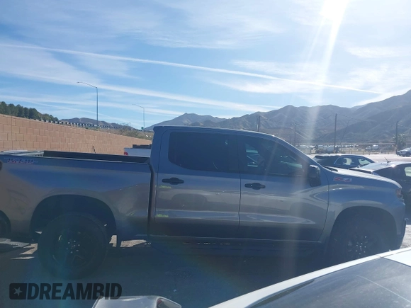 2020 Chevrolet Silverado 1500 LT Trail Boss with VIN 3GCPYFED8LG131487, listed as a IAAI auction lot 41689549 with 87,474 mi miles and . Bid and sale history available at DreamBid. Image 13.