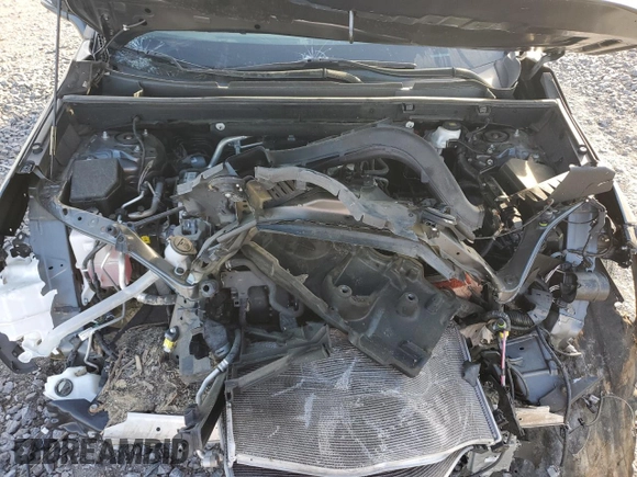 2020 Toyota RAV4 XLE with VIN 2T3P1RFV4LC087700, listed as a Copart auction lot 49390655 with 0 mi miles and Salvage Title. Bid and sale history available at carsss.com. Image 13.