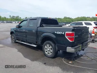 2010 Ford F-150 XL with VIN 1FTFW1EV6AFC64356, listed as a IAAI auction lot 41959894 with 246,154 mi miles and . Bid and sale history available at DreamBid. Image 3.