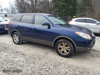 2007 Hyundai Veracruz GLS with VIN KM8NU13C47U007781, listed as a Copart auction lot 87194484 with 187,410 mi miles and Clean Title. Bid and sale history available at carsss.com. Image 4.