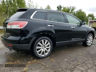 2009 Mazda CX-9 Touring with VIN JM3TB38A790167658, listed as a Copart auction lot 73551964 with 197,457 mi miles and Clean Title. Bid and sale history available at carsss.com. Image 3.