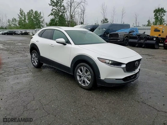 2023 Mazda CX-30 2.5 S Select Package with VIN 3MVDMBBM1PM532140, listed as a Copart auction lot 65609804 with 38,085 mi miles and Salvage Title. Bid and sale history available at carsss.com. Image 10.