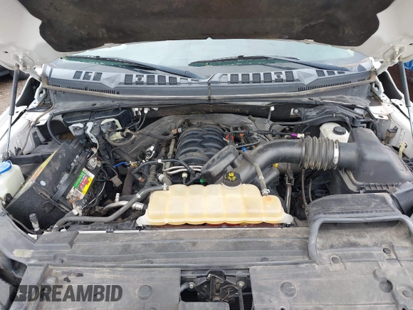 2018 Ford F-150 XL with VIN 1FTEW1E59JKD10992, listed as a IAAI auction lot 42362936 with 225,967 mi miles and . Bid and sale history available at DreamBid. Image 10.