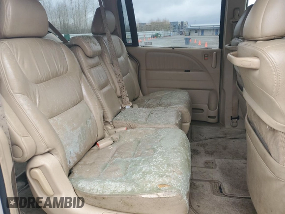 2005 Honda Odyssey EX-L with VIN 5FNRL38655B000691, listed as a Copart auction lot 47814195 with 233,384 mi miles and Clean Title. Bid and sale history available at carsss.com. Image 11.