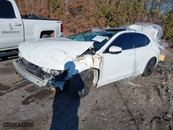 2015 Acura TLX V6 Tech with VIN 19UUB2F53FA023531, listed as a IAAI auction lot 41118044 with 1 mi miles. Bid and sale history available at carsss.com. Image 18.