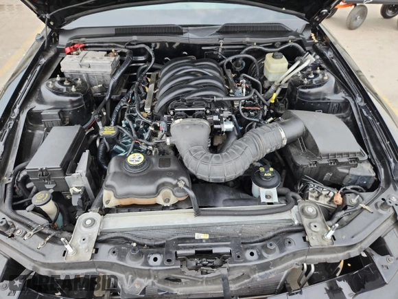 2008 Ford Mustang GT Deluxe with VIN 1ZVHT82H085178451, listed as a Copart auction lot 59761215 with 143,827 mi miles and Salvage title. Bid and sale history available at DreamBid. Image 11.